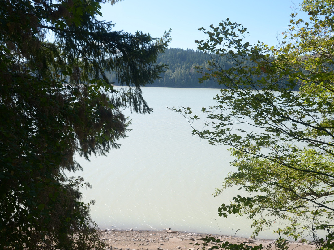 Alder Lake Park-Eatonville必去景点