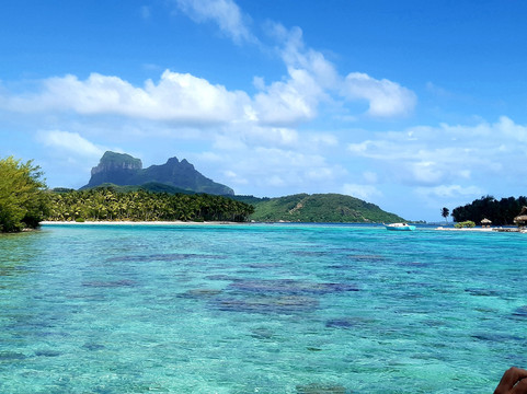 Tohora Bora Bora-瓦伊塔佩必去景点