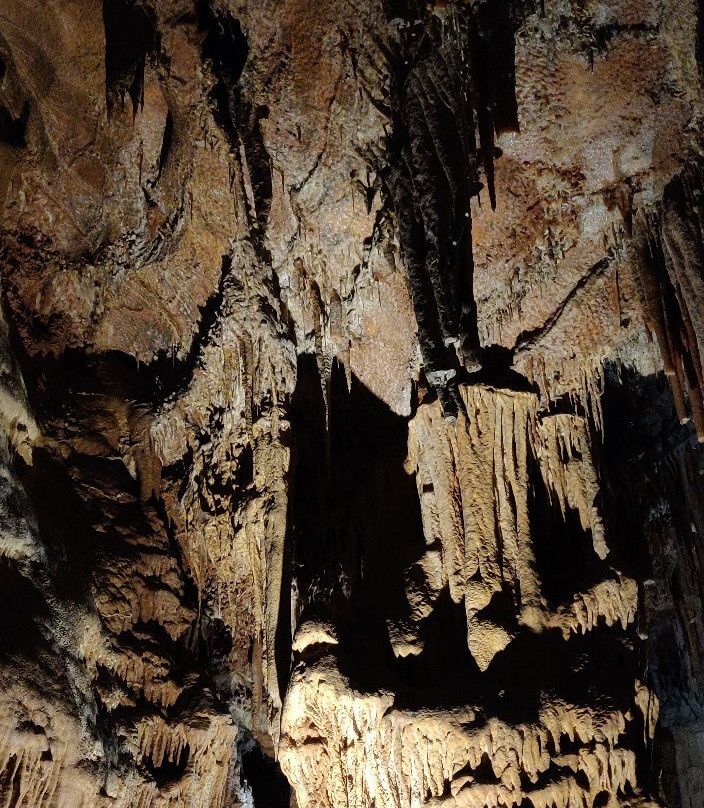 Grotte des Carbonnieres-Lacave必去景点