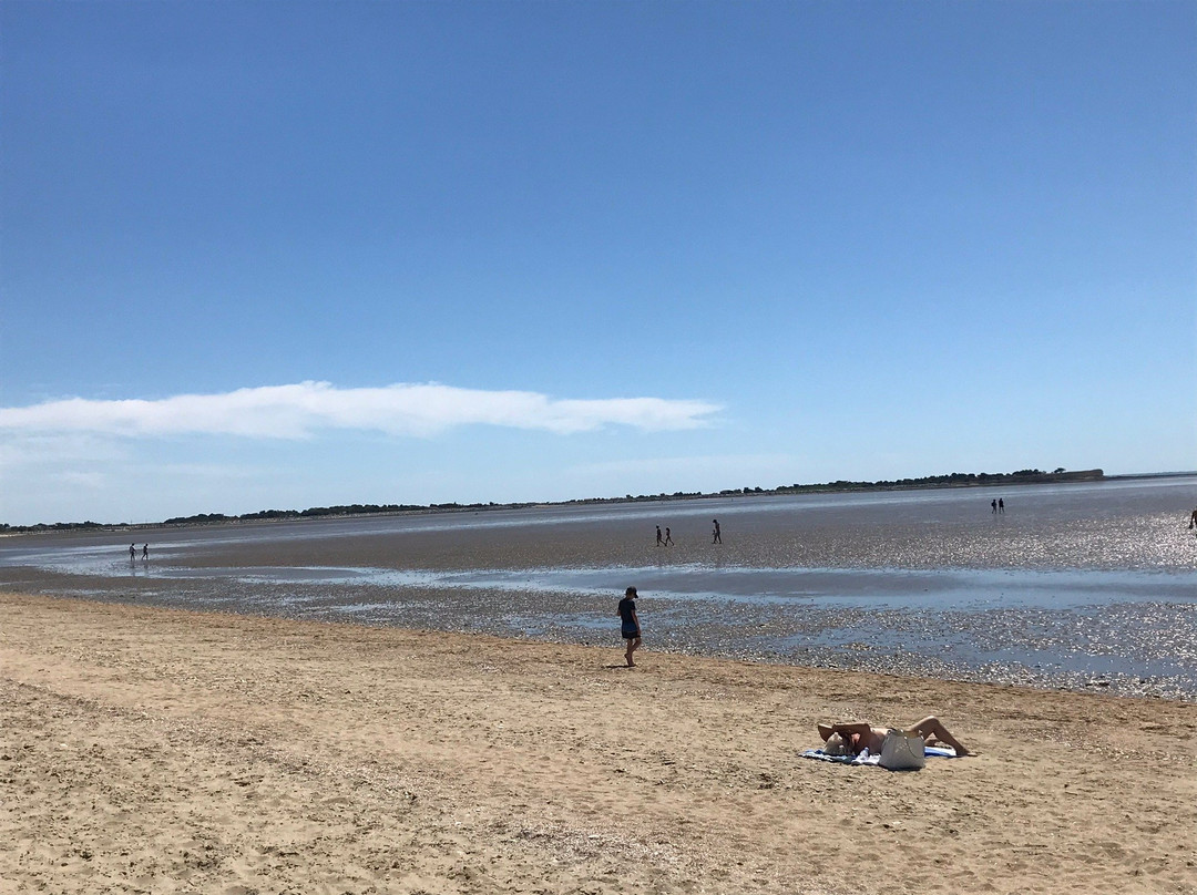 Plage d'Aytré景点图片