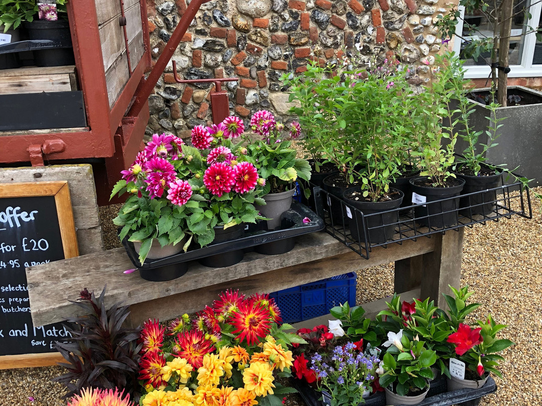 Walsingham Farms Shop景点图片