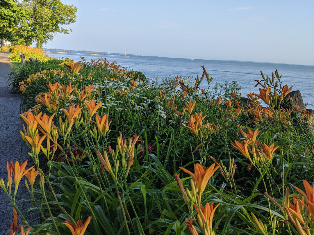 Lakeside Chautauqua-Lakeside必去景点