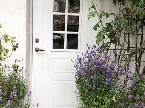 艾里斯托尔普酒店主图