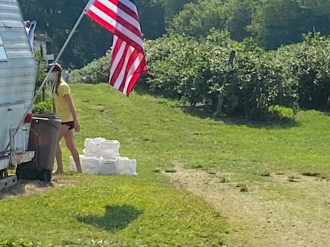 Walnut Springs Farm-埃尔克顿必去景点