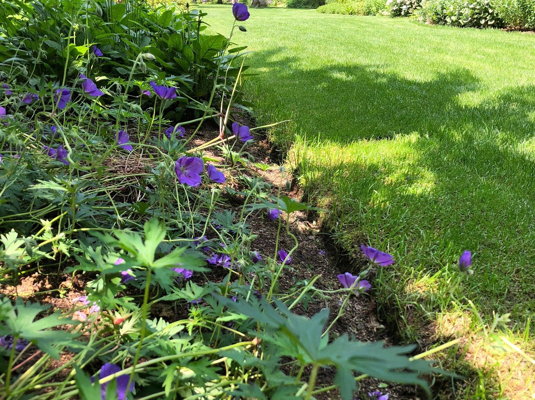 Ikoro no Mori-苫小牧市必去景点