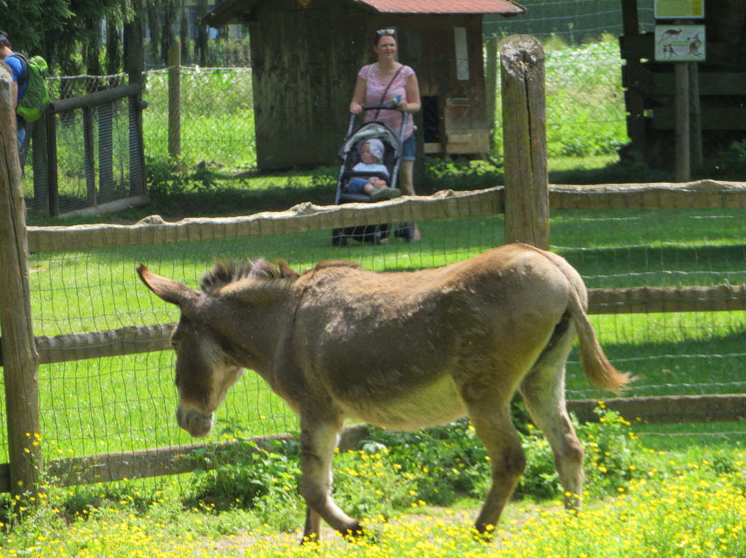 Tierpark Rosegg-Rosegg必去景点