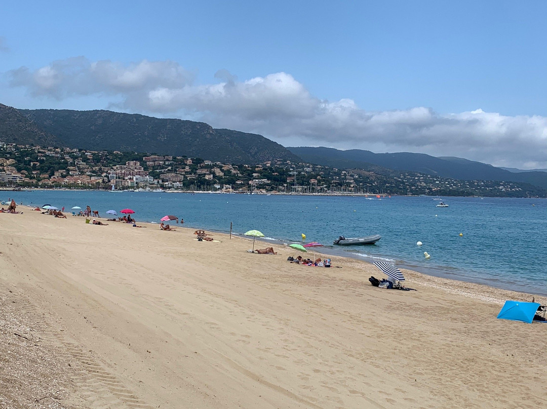 Office de Tourisme du Lavandou-莱拉旺杜必去景点