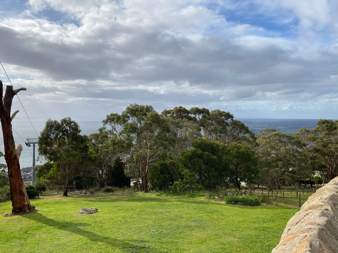 Arthurs Seat State Park景点图片