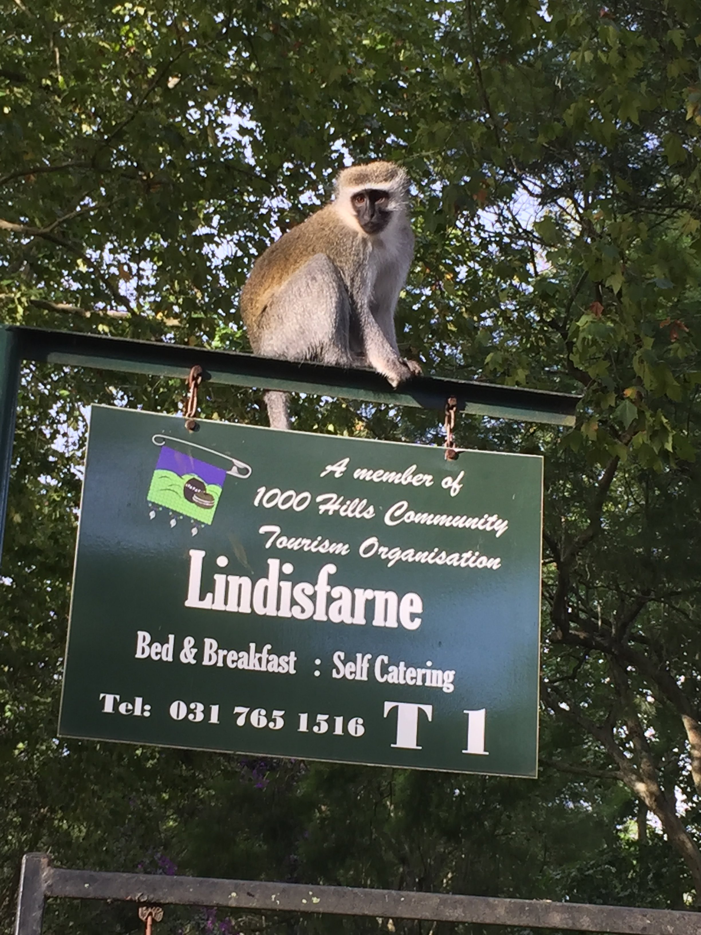 Lindisfarne B&B-官方
