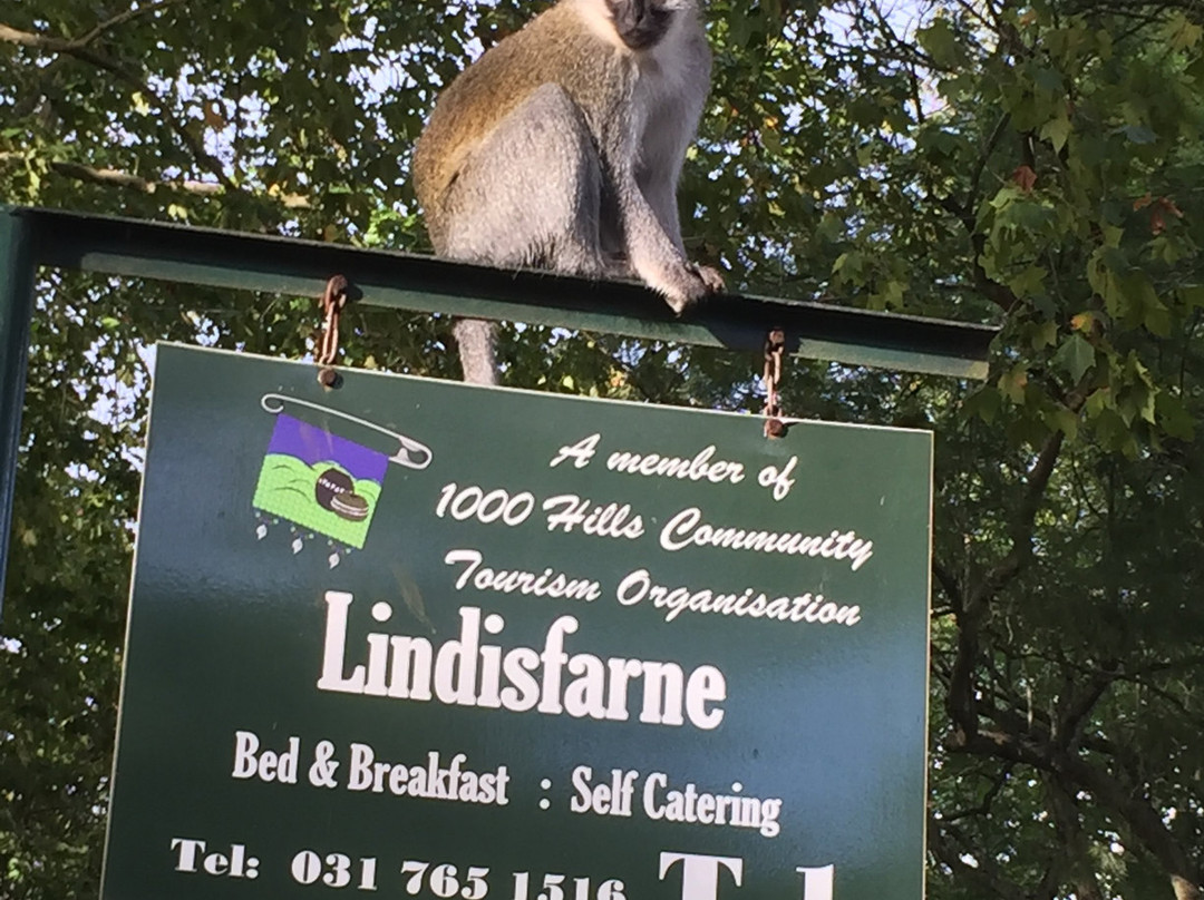 Lindisfarne B&B主图