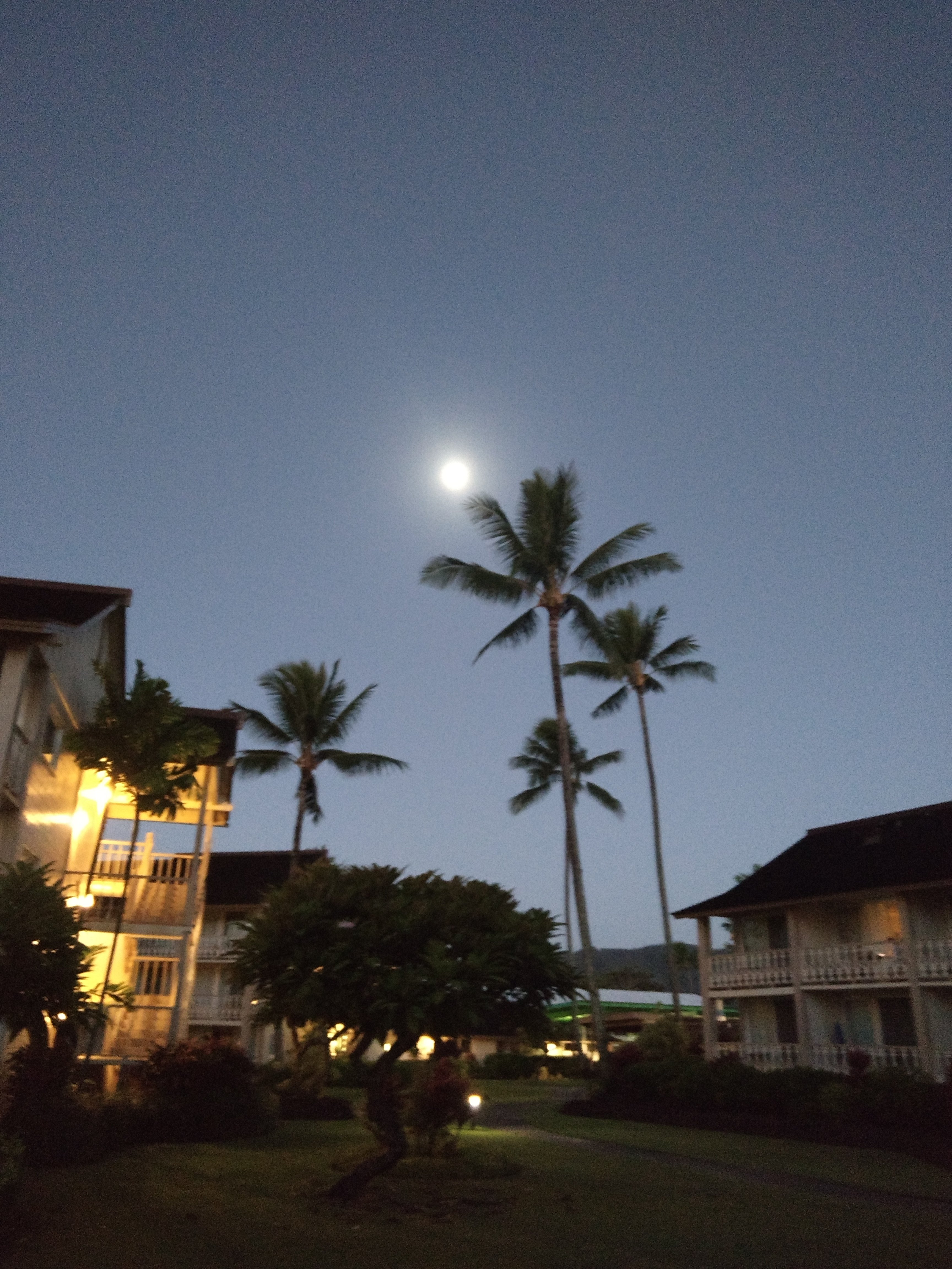 海滩雅诗顿艾兰德酒店-浴室