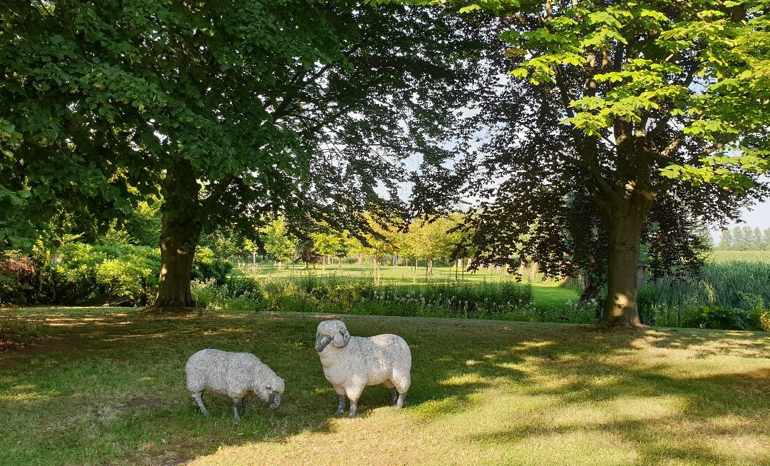 Meirlaenhof B&B