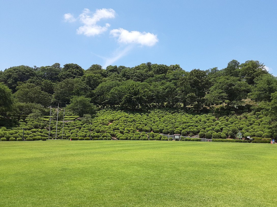 西山公园景点图片