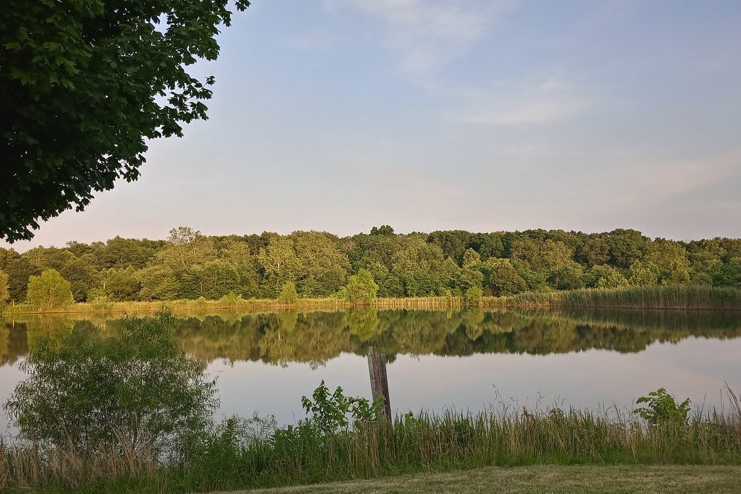 Olde Squat Inn Bed and Breakfast主图