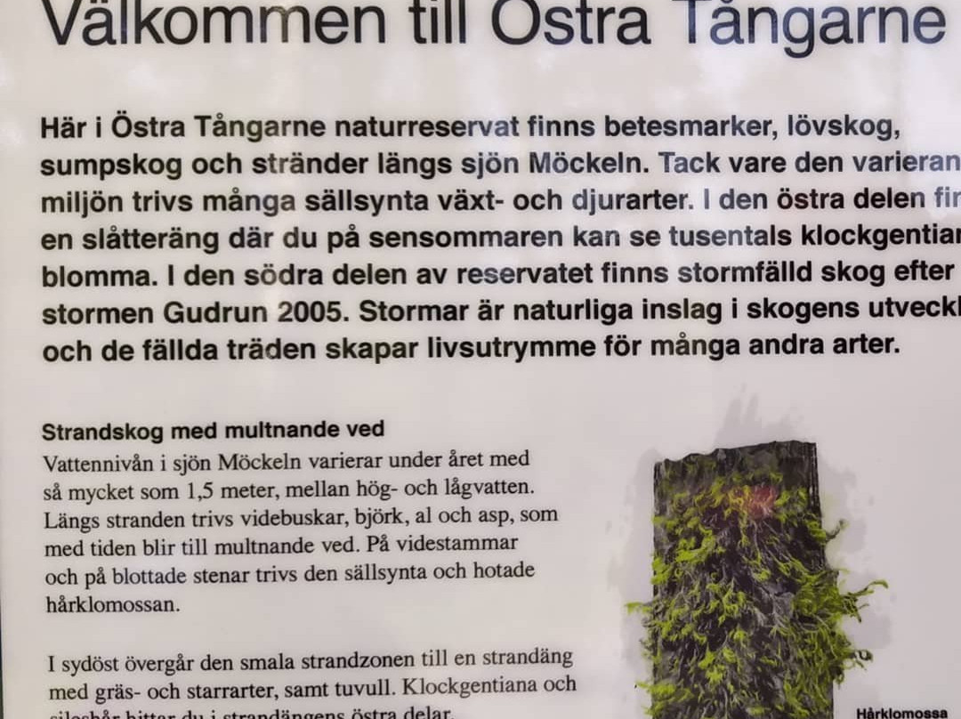 Ostra Tangarne Naturreservat-Dio必去景点