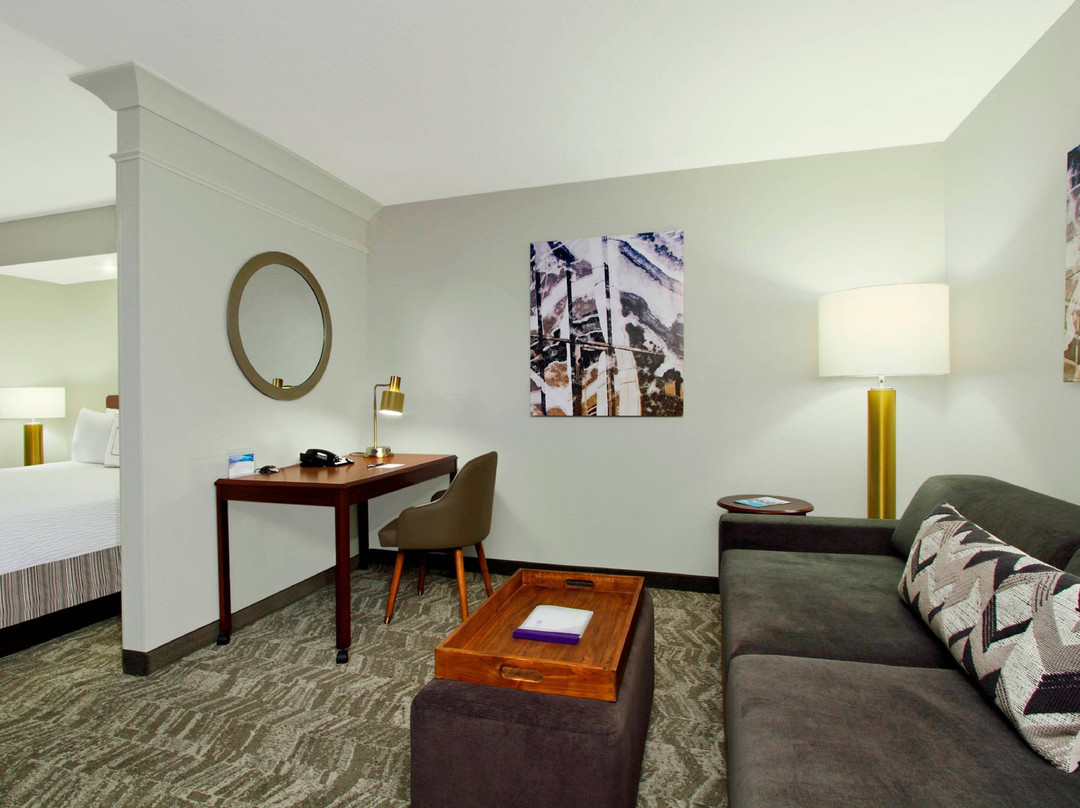 SpringHill Suites by Marriott Chesapeake Greenbrier主图