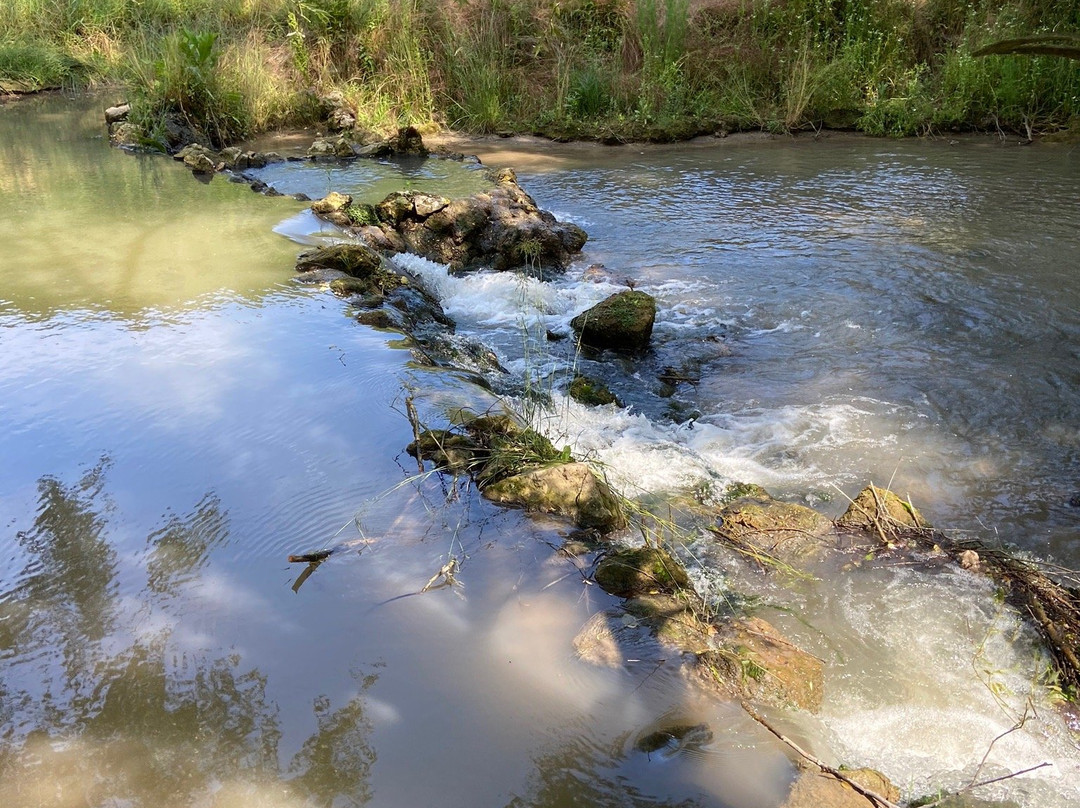 The Black Stork Hotel主图