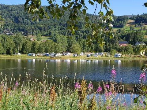 Morgedal Camping-官方