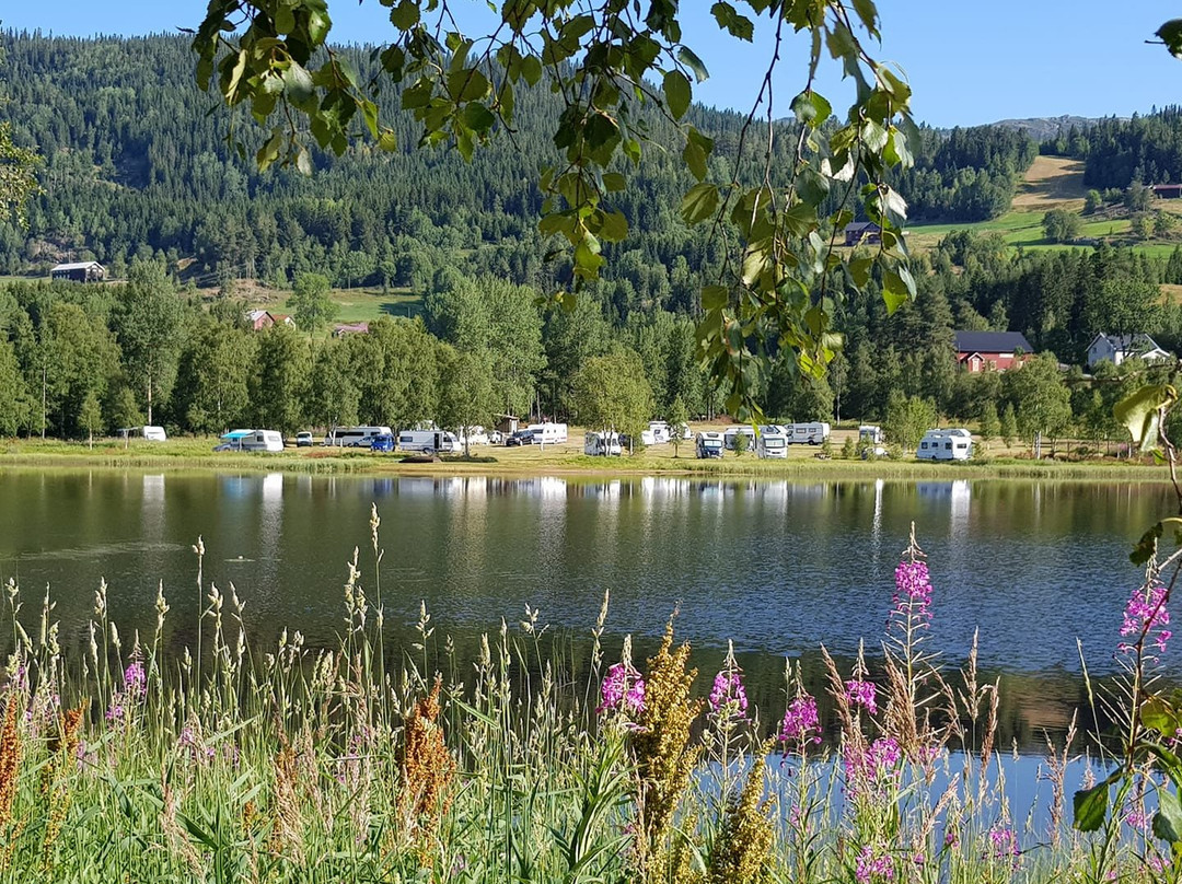 Morgedal Camping主图