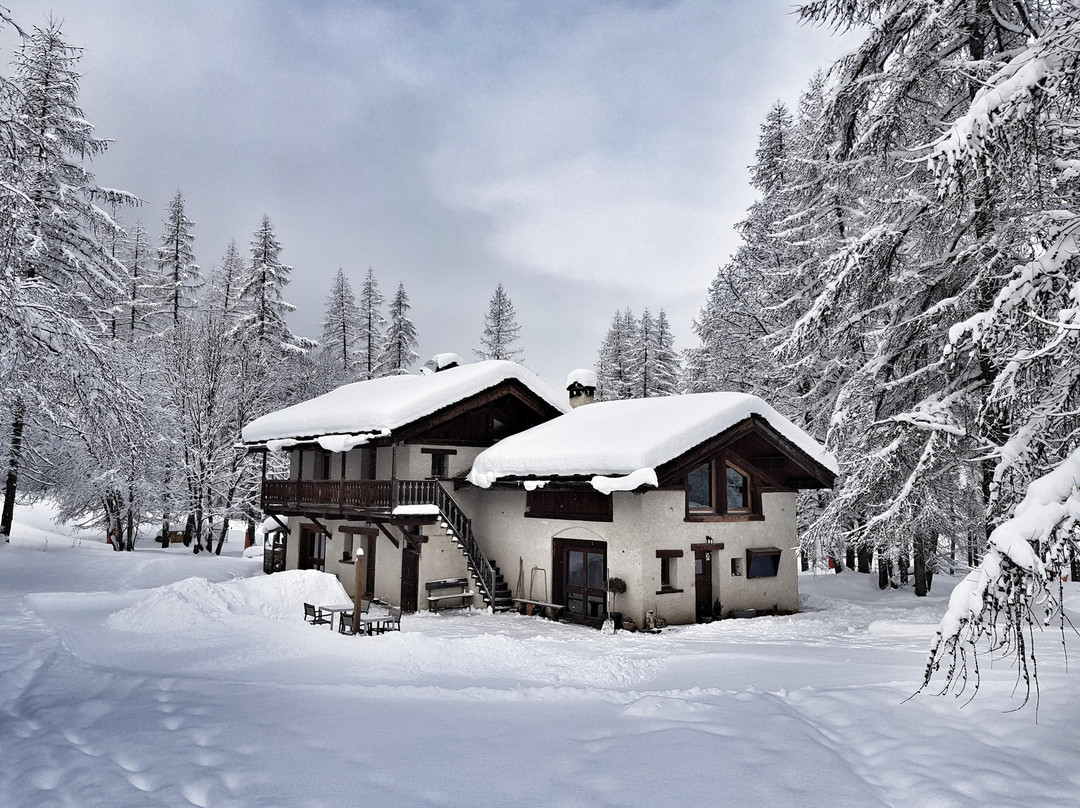 Nancroix餐馆和美食-Le Petit Hibou