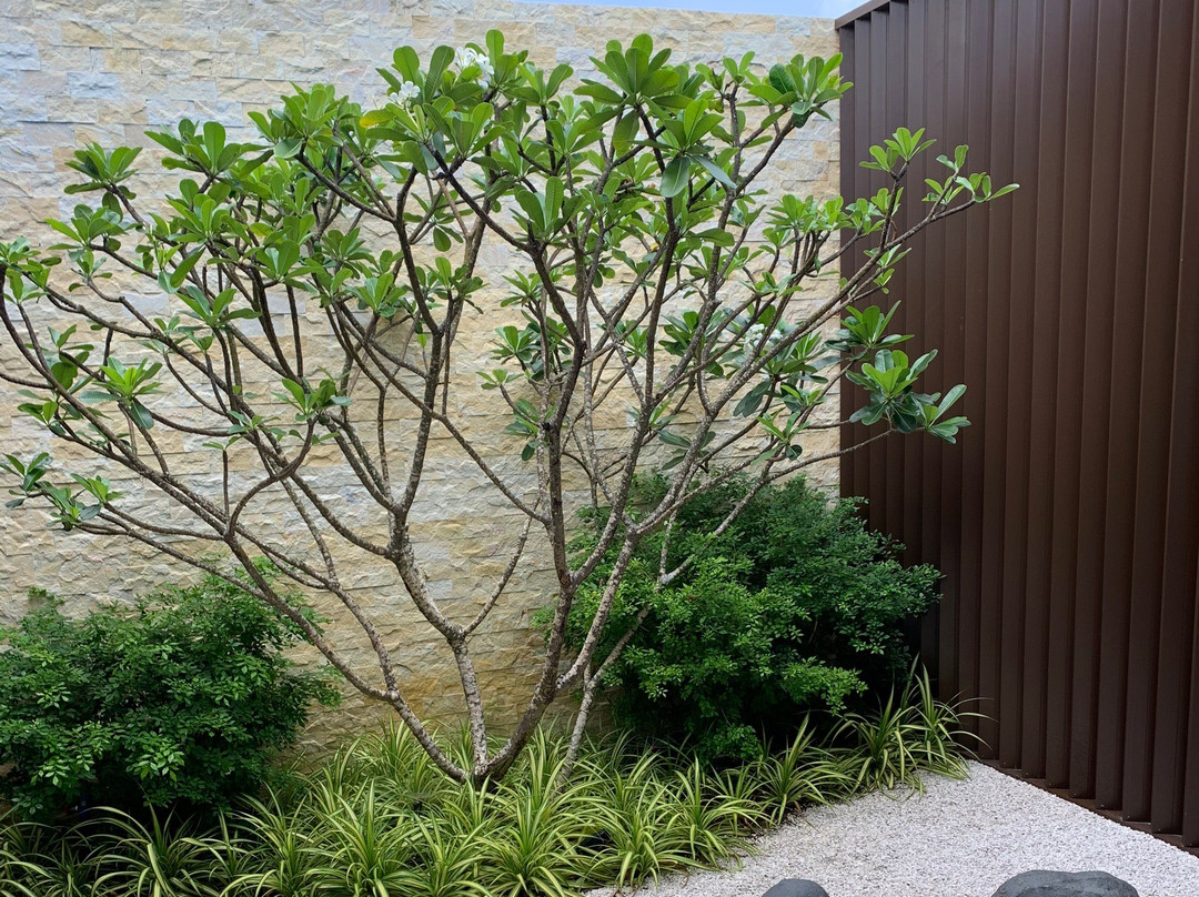 Yhi Spa-Ho Tram必去景点