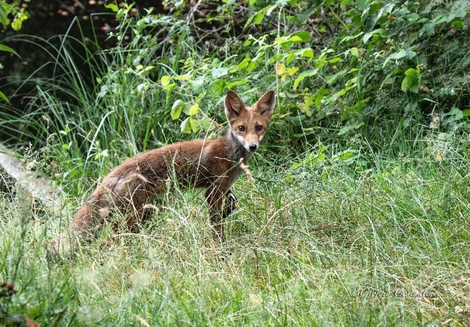 Oasi della Bruschera-Angera必去景点