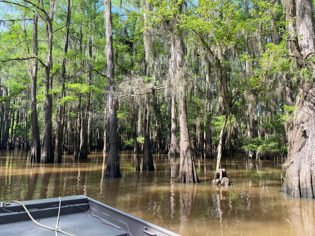 Caddo Outback-Karnack必去景点