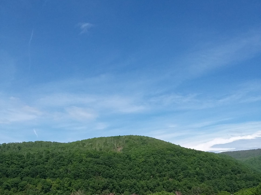 Berry's Campground