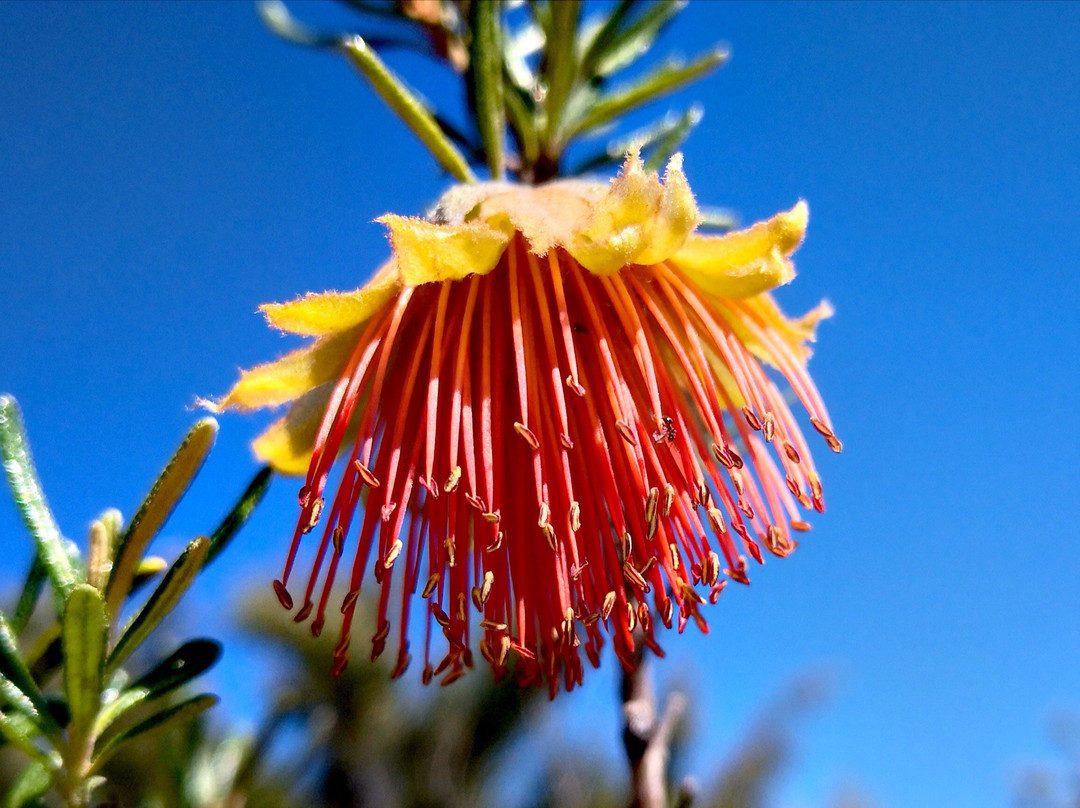 Off The Grid 365-珀斯必去景点