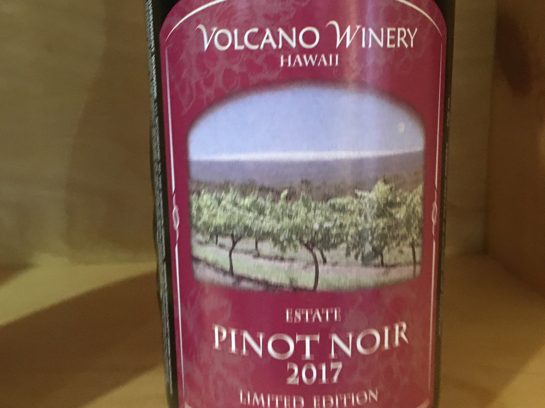 火山酿酒厂-火山必去景点