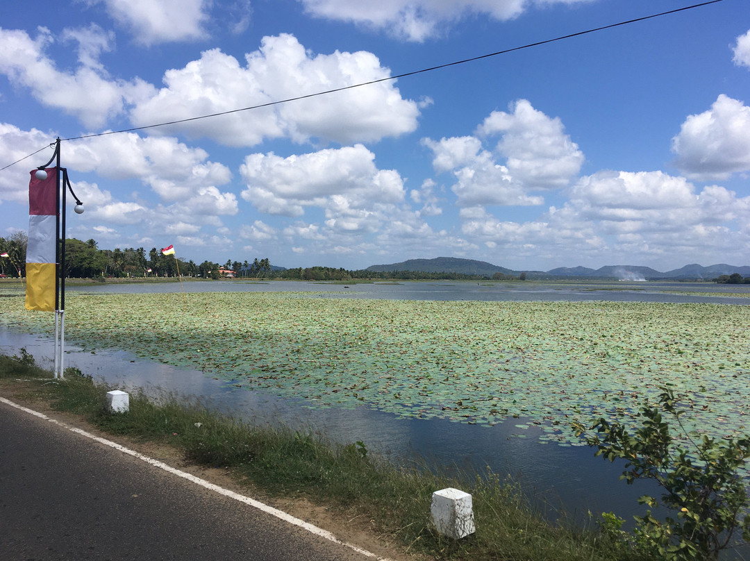 Dim Tours Sri Lanka景点图片