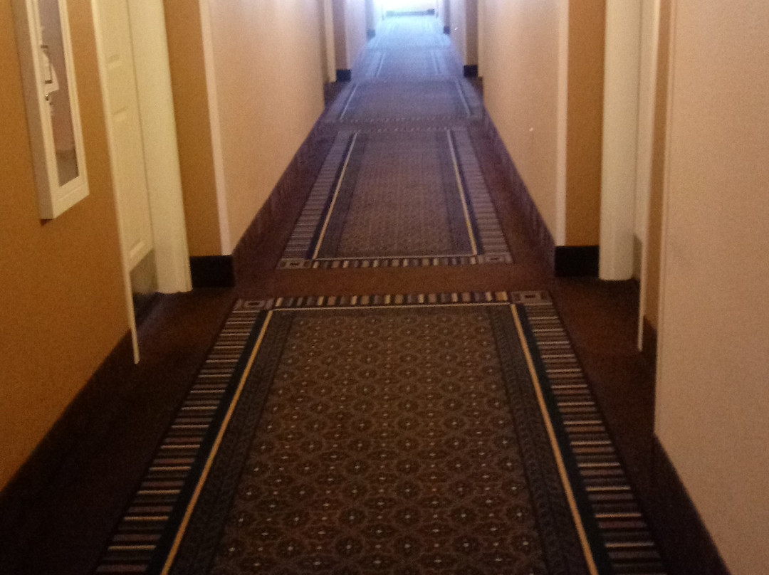 Candlewood Suites Loveland By IHG主图