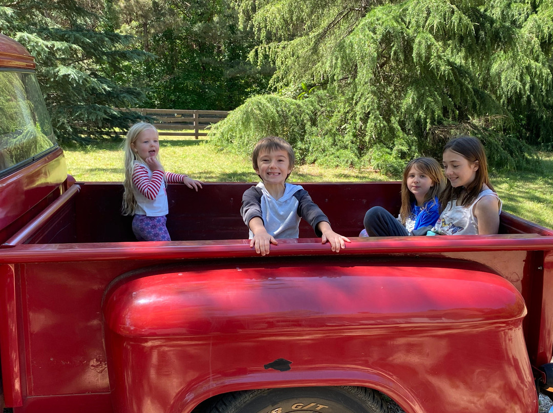 Bogle Farm