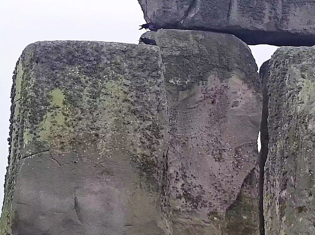 The Stonehenge Tour景点图片