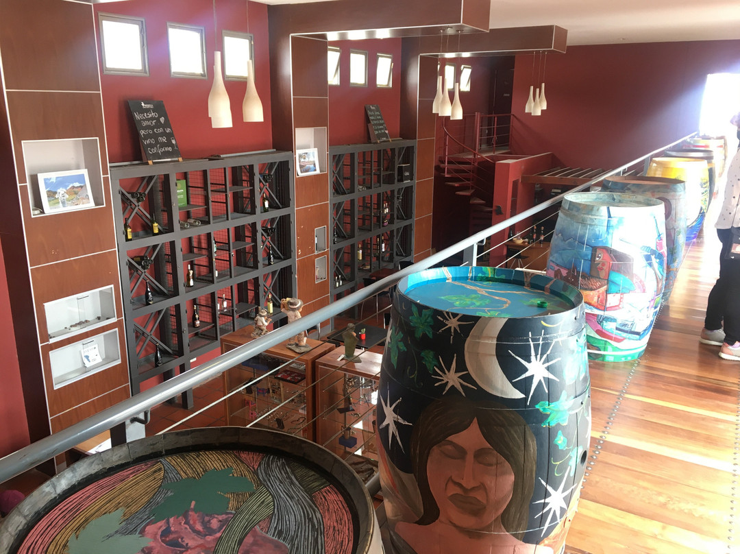 Museo de la Vid y el Vino景点图片