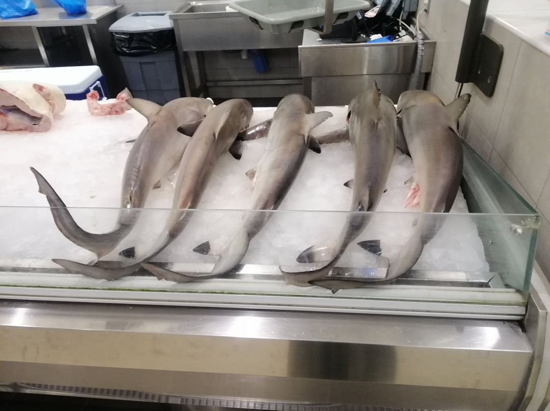 Sharjah Jubail Fish Market-沙迦必去景点