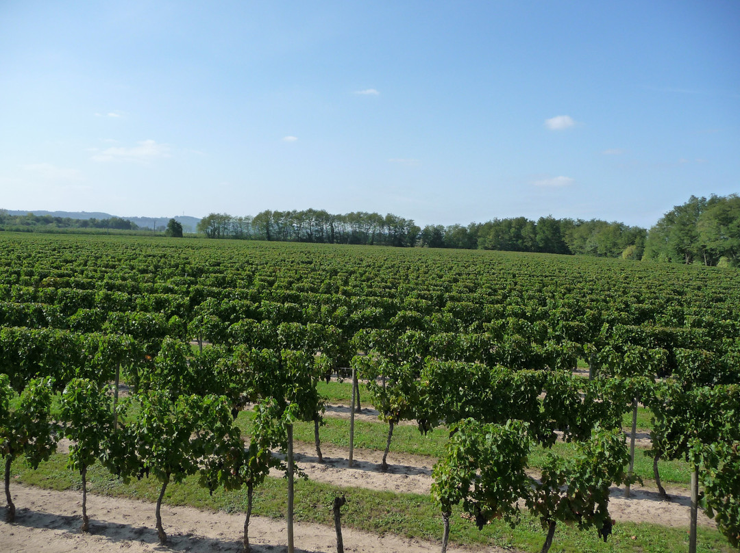 Domaine de Grande Font主图