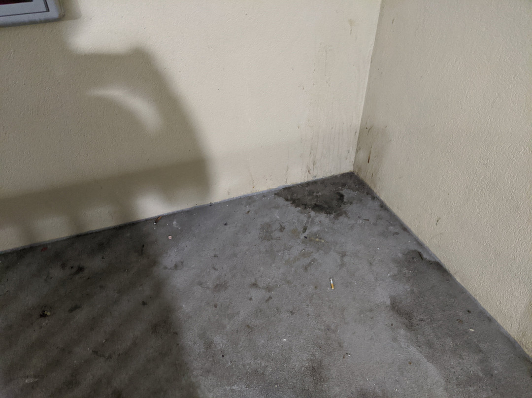 Extended Stay America - St. Louis - Westport - Central主图