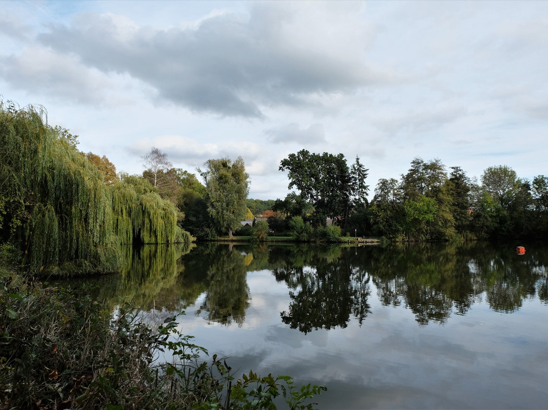 Ludgeriteich-Helmstedt必去景点