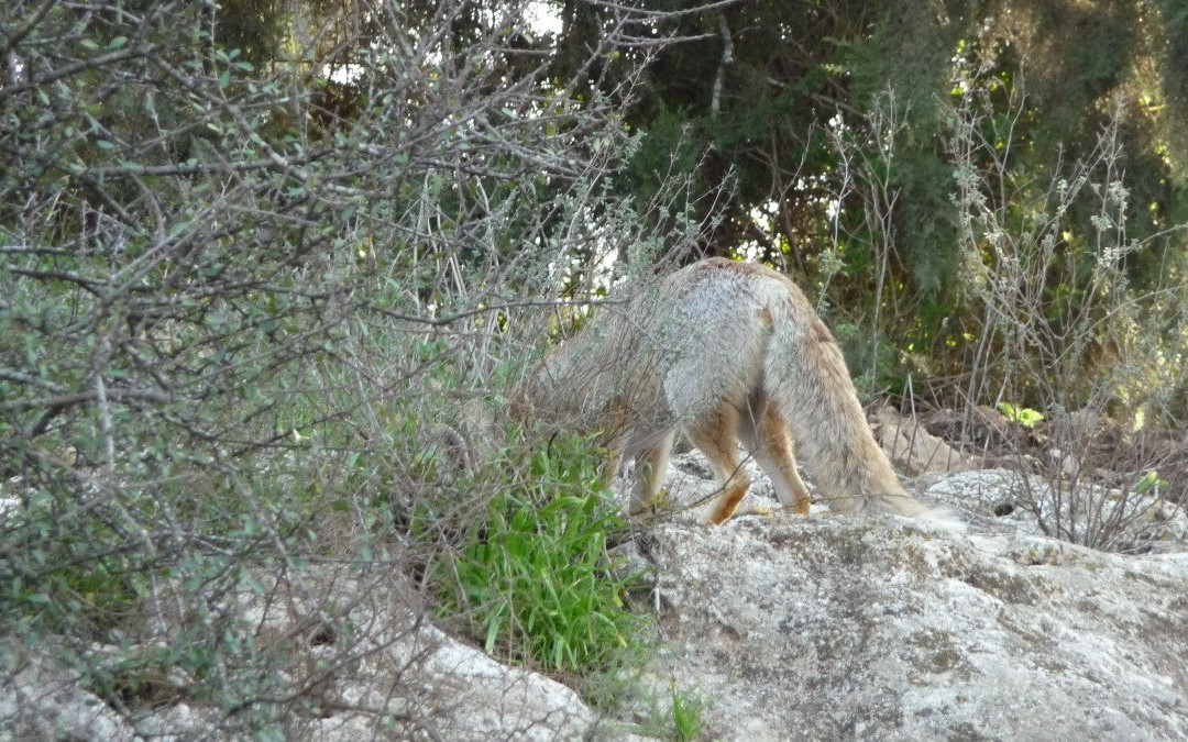 Nahal El Al-Avnei Eitan必去景点
