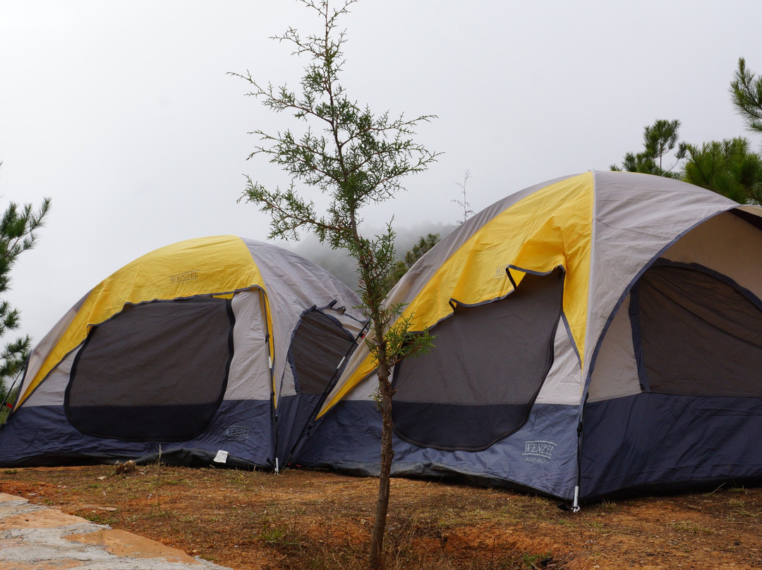 Campamento Derramadero de Bucareli景点图片