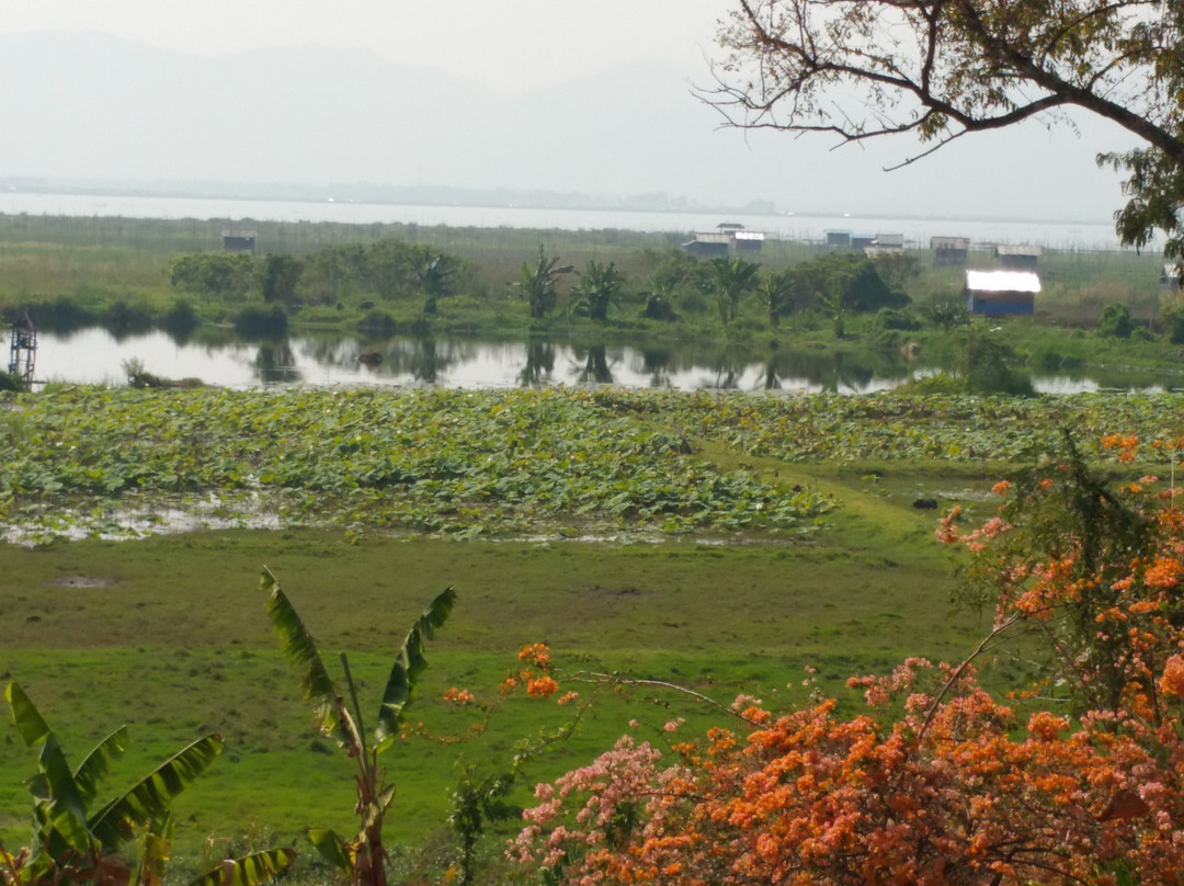 Villa Inle Boutique Resort主图