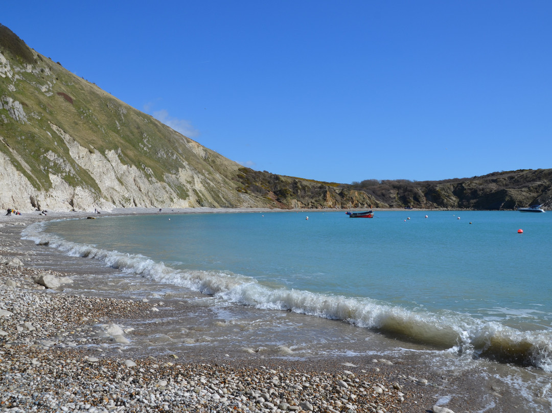Lulworth Lodge主图