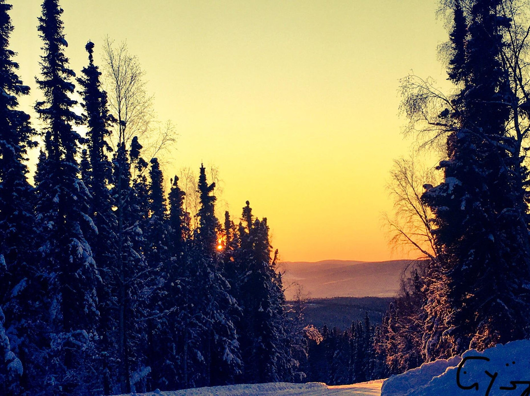 Moose Cab & Tours-费尔班克斯必去景点