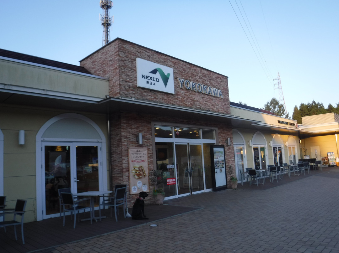 Yokokawa Service Area Outbound-安中市必去景点