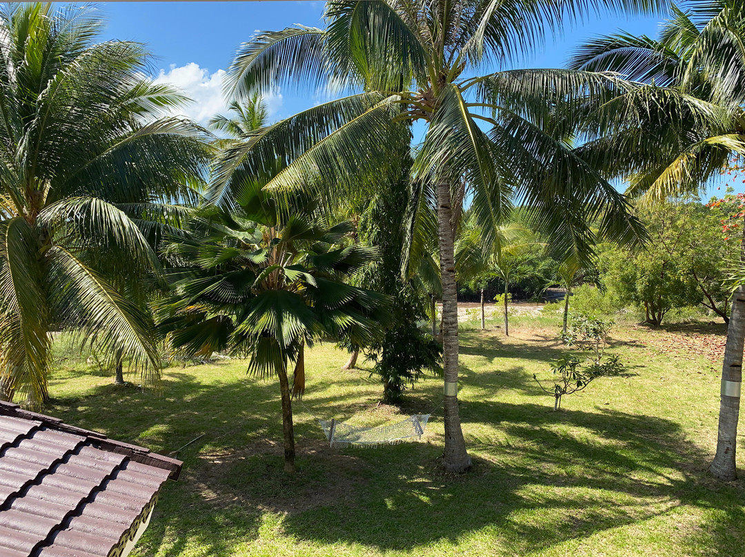 North Zen Villas主图