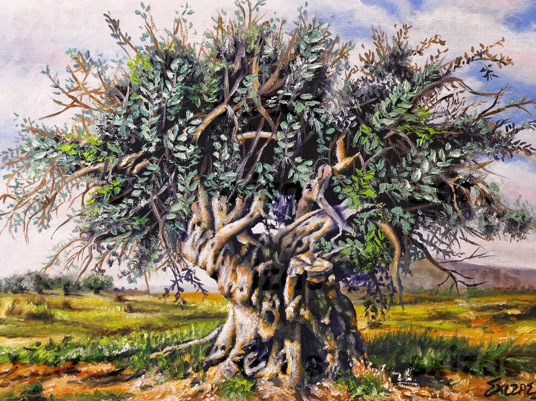 Sxizas Art Gallery-纳夫普利翁必去景点