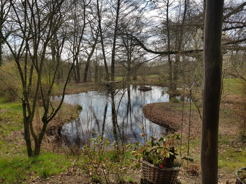 Dahlenburg旅游攻略图片