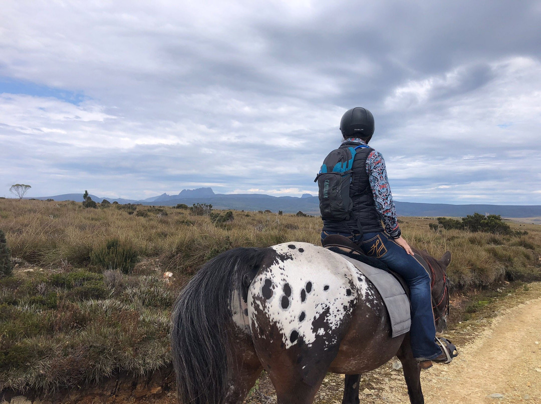 Cradle Country Adventures-摇篮山圣克莱尔湖国家公园必去景点