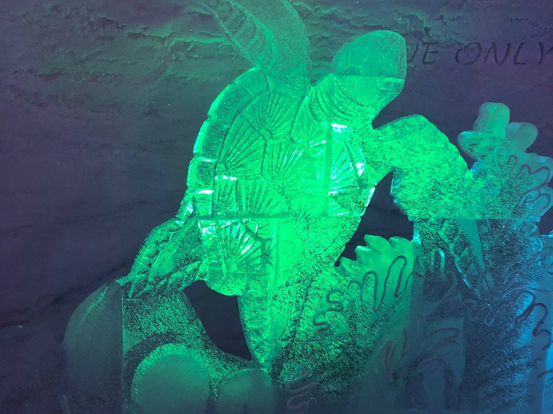 Snowlounge-Salla必去景点